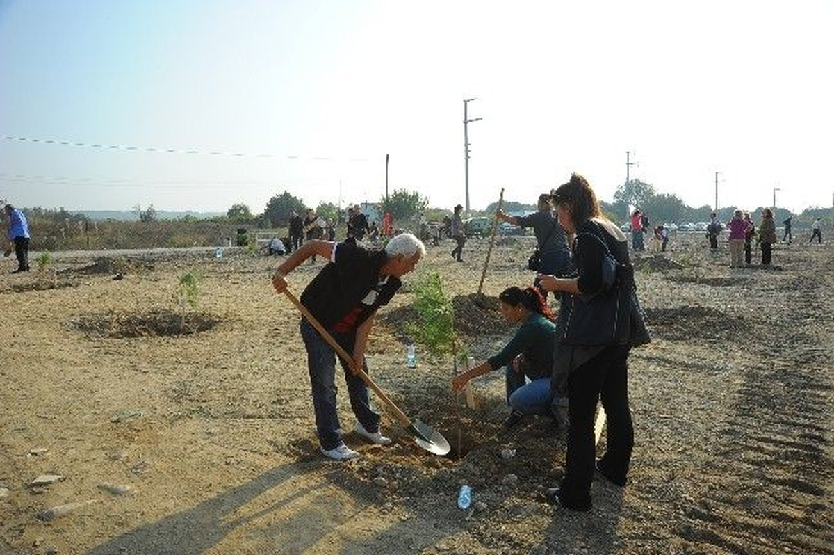 Ardahan\'da 200 Fidan Dikildi