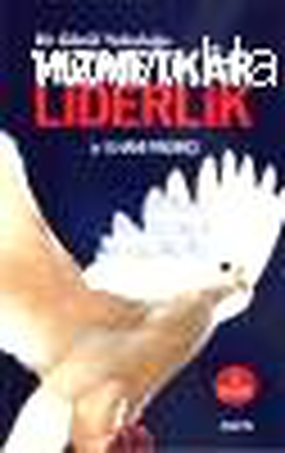 Bir Gönül Yolculuğu - Hizmetkar Liderlik Kitabı