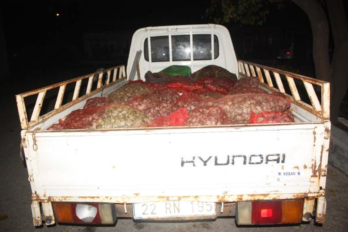 Keşan\'da Kaçak Avlanan 1.5 Ton Midye Ele Geçirildi