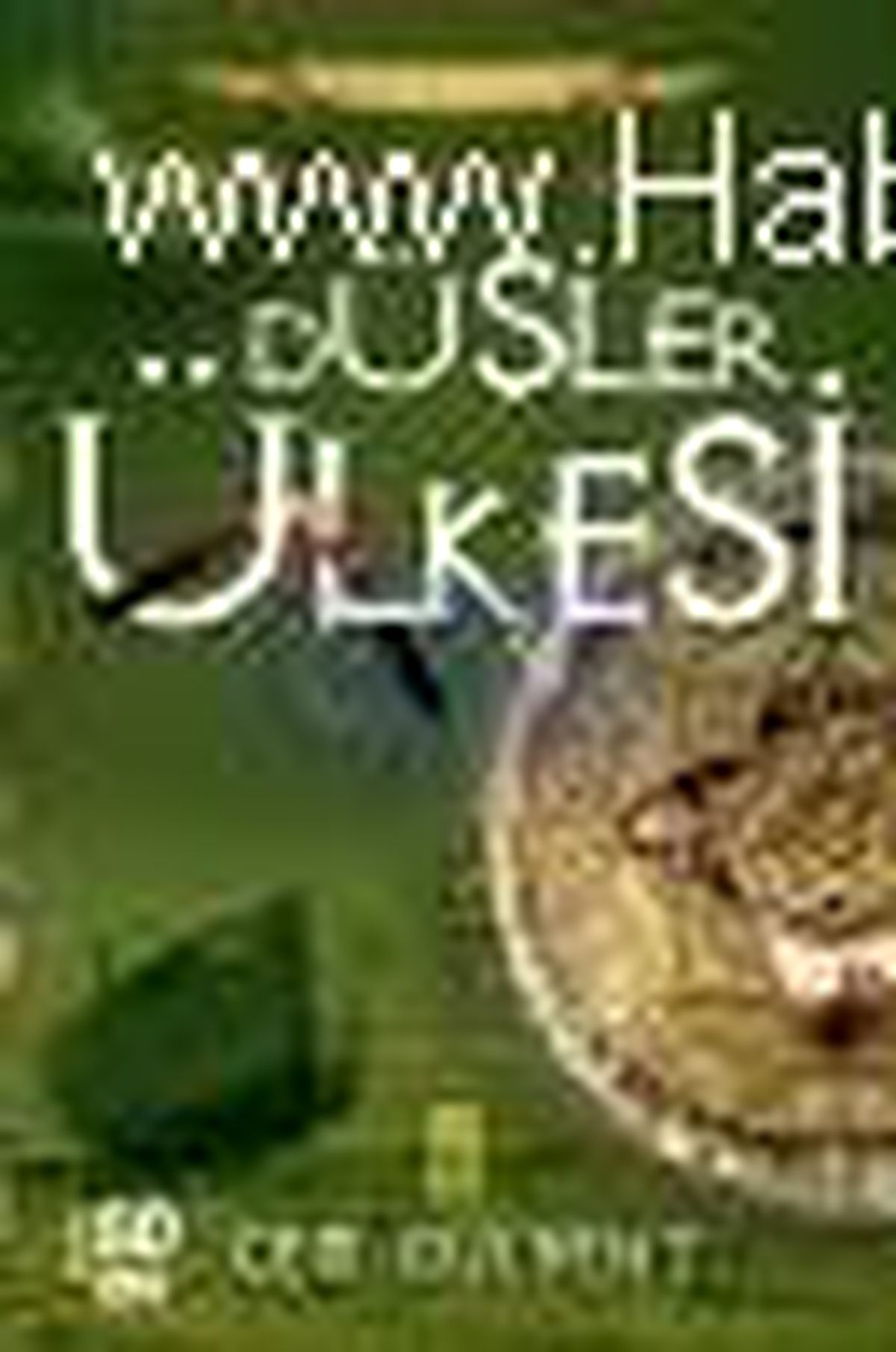 Düşler Ülkesi Paradokya Kitabı