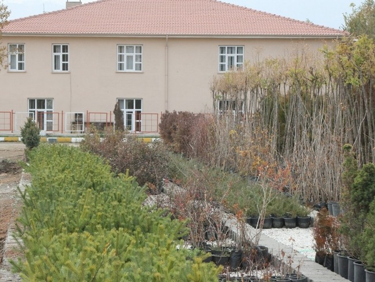 Erzincan\'da 35 Bin Fidan Toprakla Buluşturuldu
