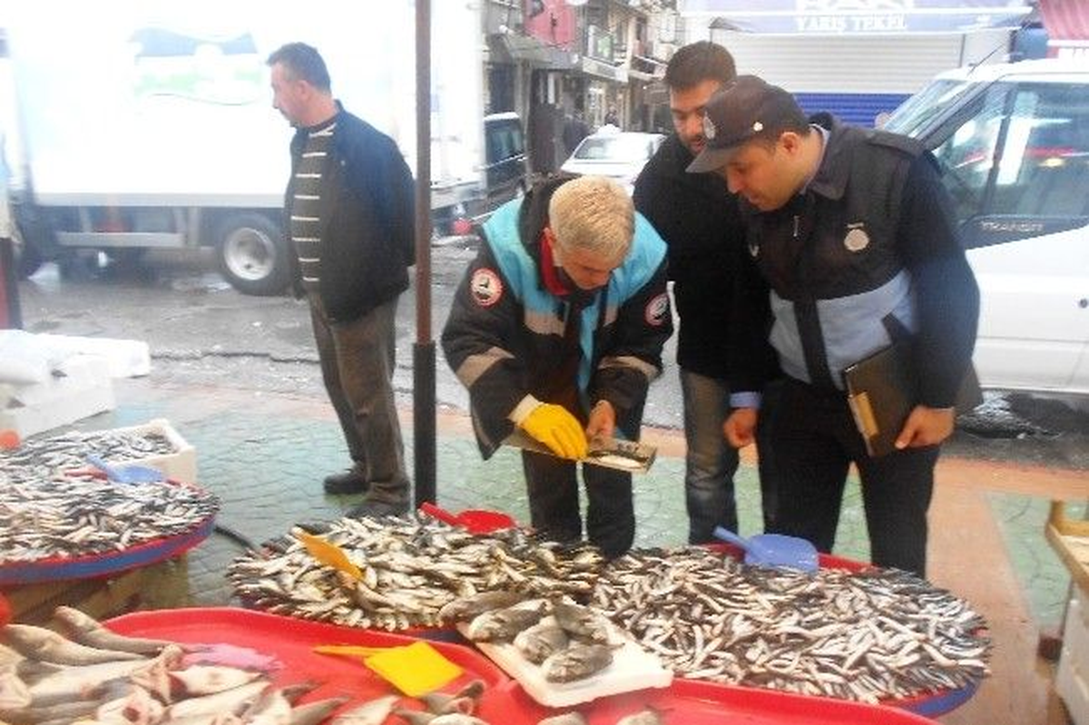 İzmit\'te Balıkçılara Yönelik Denetim
