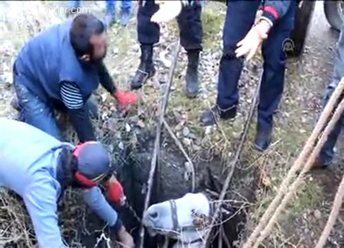 "Kuyudan at kurtarma operasyonu"