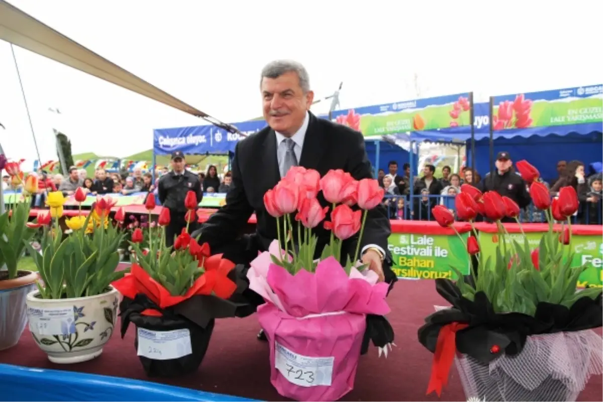 Lale Satışları 18 Kasım\'da Başlayacak