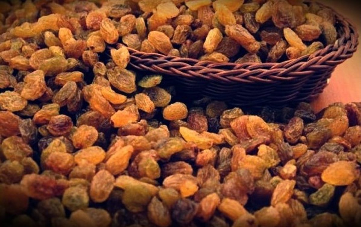 Manisa Ticaret Borsası