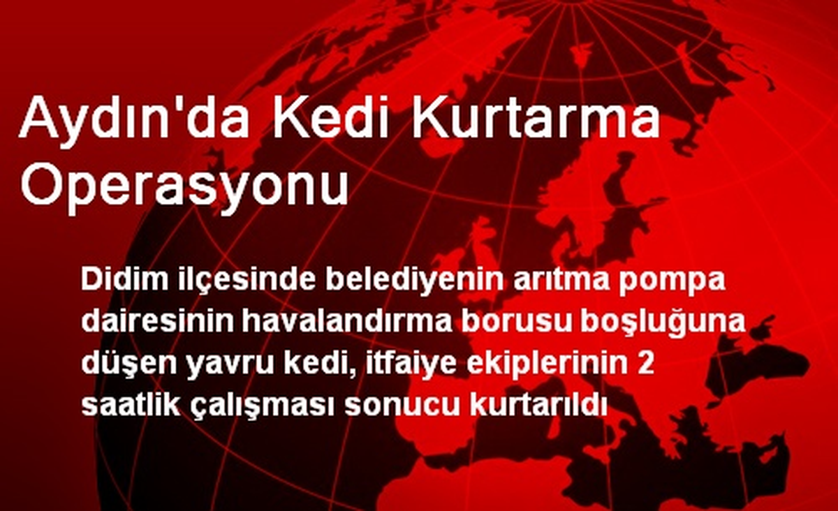 Aydın\'da Kedi Kurtarma Operasyonu