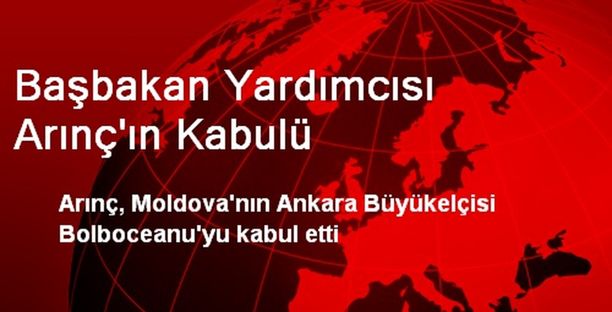 Başbakan Yardımcısı Arınç\'ın Kabulü