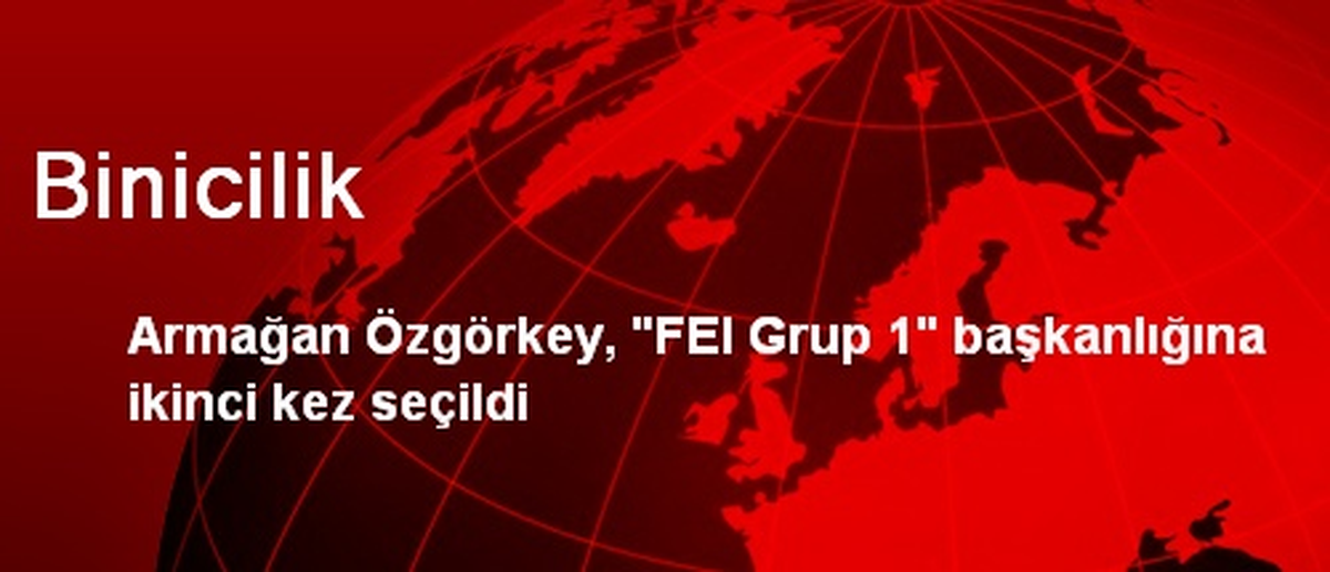 Binicilik