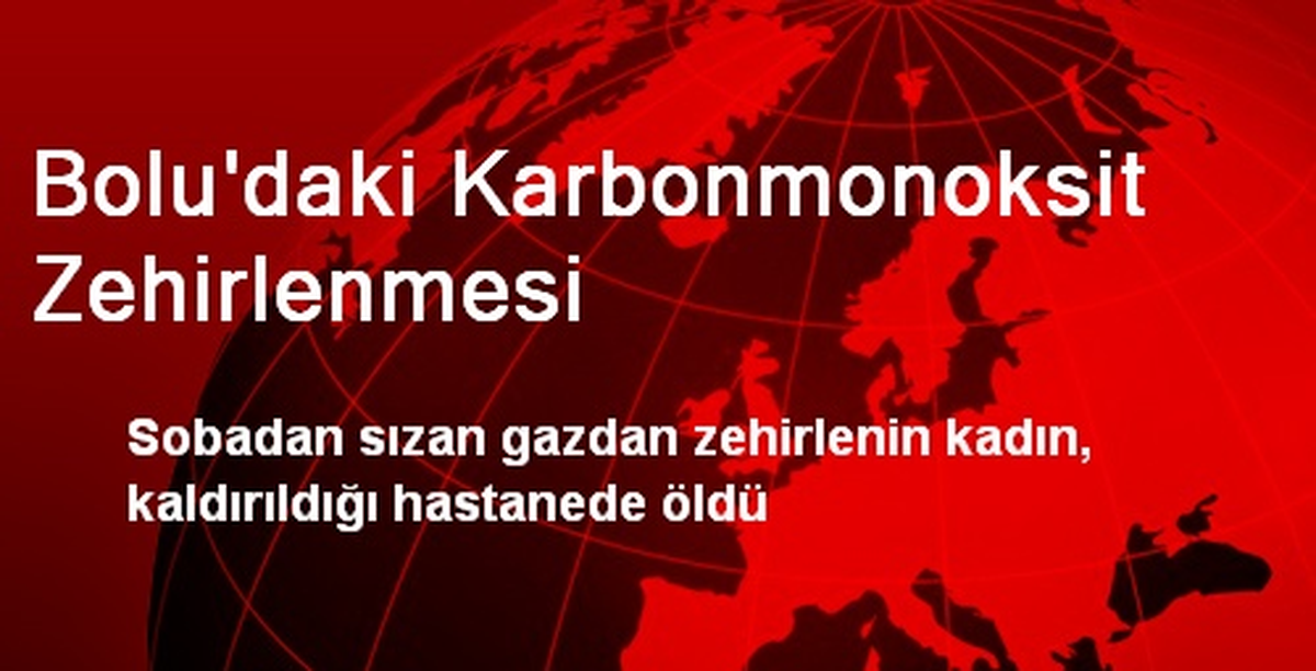 Bolu\'daki Karbonmonoksit Zehirlenmesi