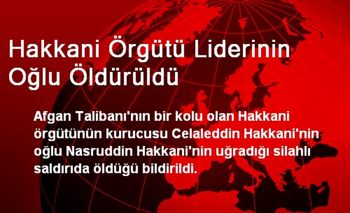 Hakkani Örgütü Liderinin Oğlu Öldürüldü