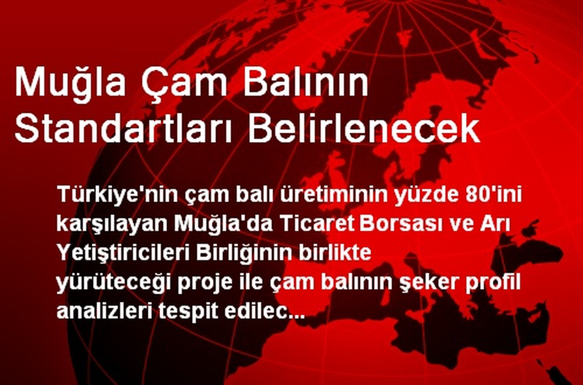 Muğla Çam Balının Standartları Belirlenecek