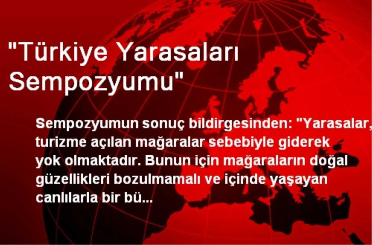 "Türkiye Yarasaları Sempozyumu"