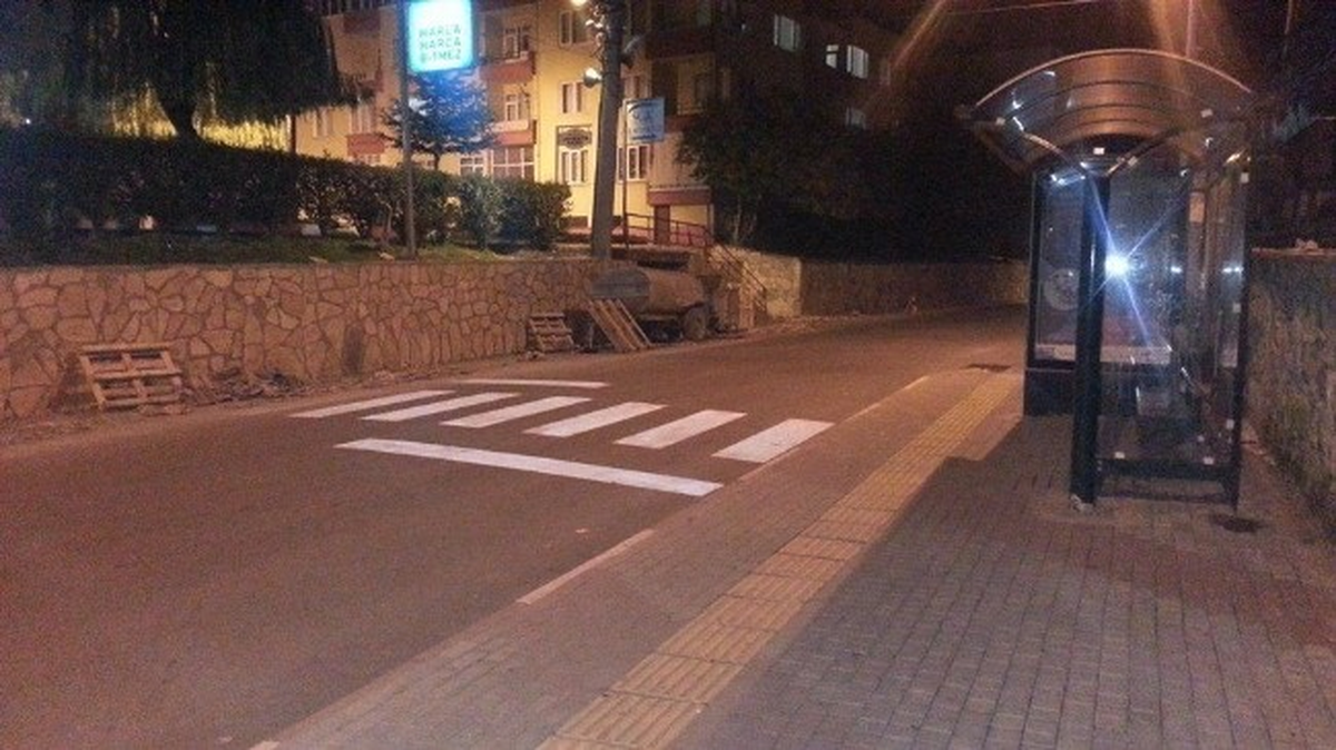 Şaka Gibi Yaya Geçidi