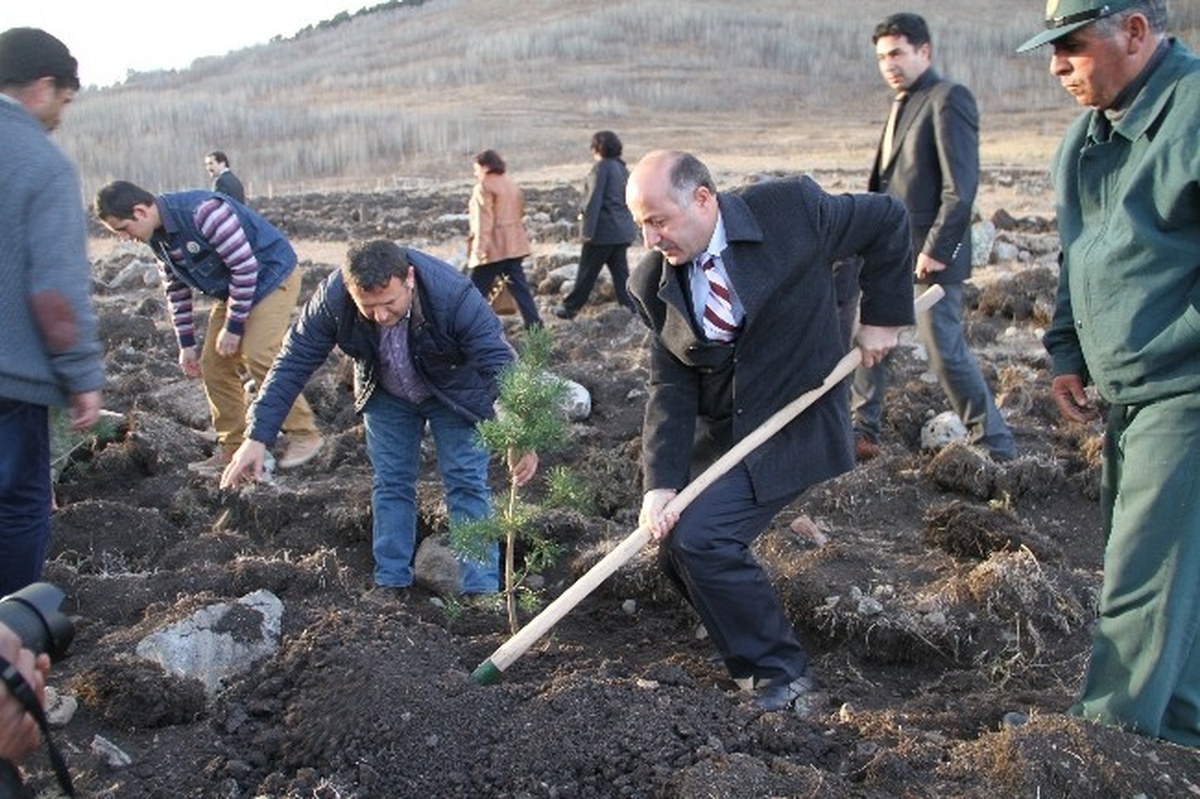 Ardahan Valisi Azizoğlu Ziyaret Deresi\'nde Fidan Dikti