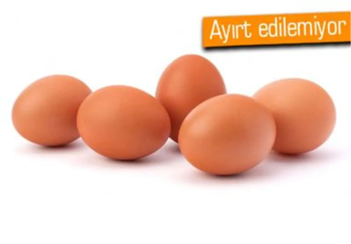 Bill Gates\'in Desteğiyle Yapay Yumurta Ürettiler