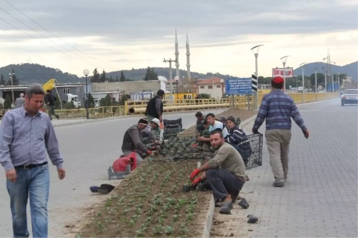 Burhaniye Kışa Hazırlanıyor