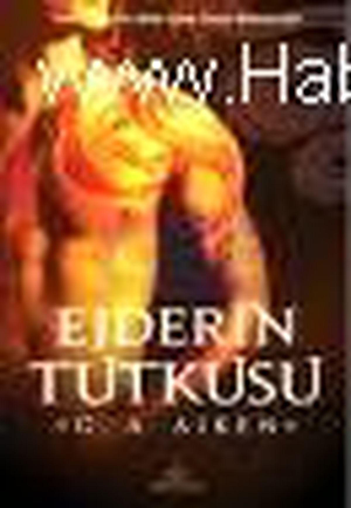 Ejderin Tutkusu Kitabı