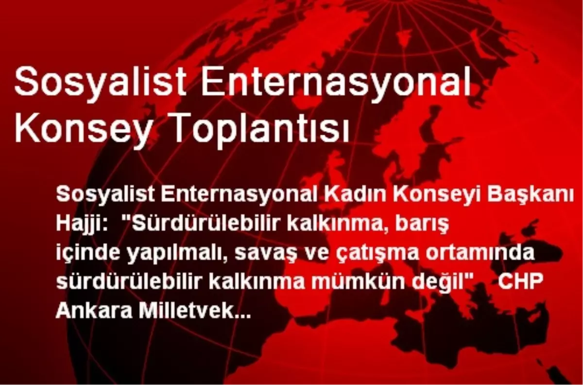 Sosyalist Enternasyonal Konsey Toplantısı