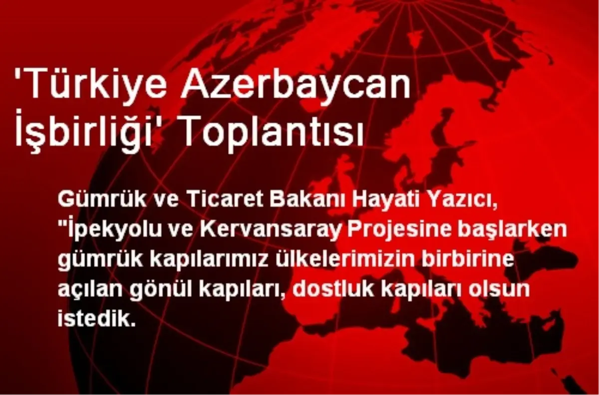 \'Türkiye Azerbaycan İşbirliği\' Toplantısı