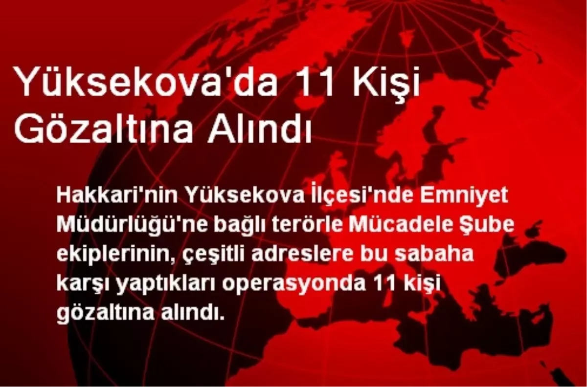 Yüksekova\'da 11 Kişi Gözaltına Alındı