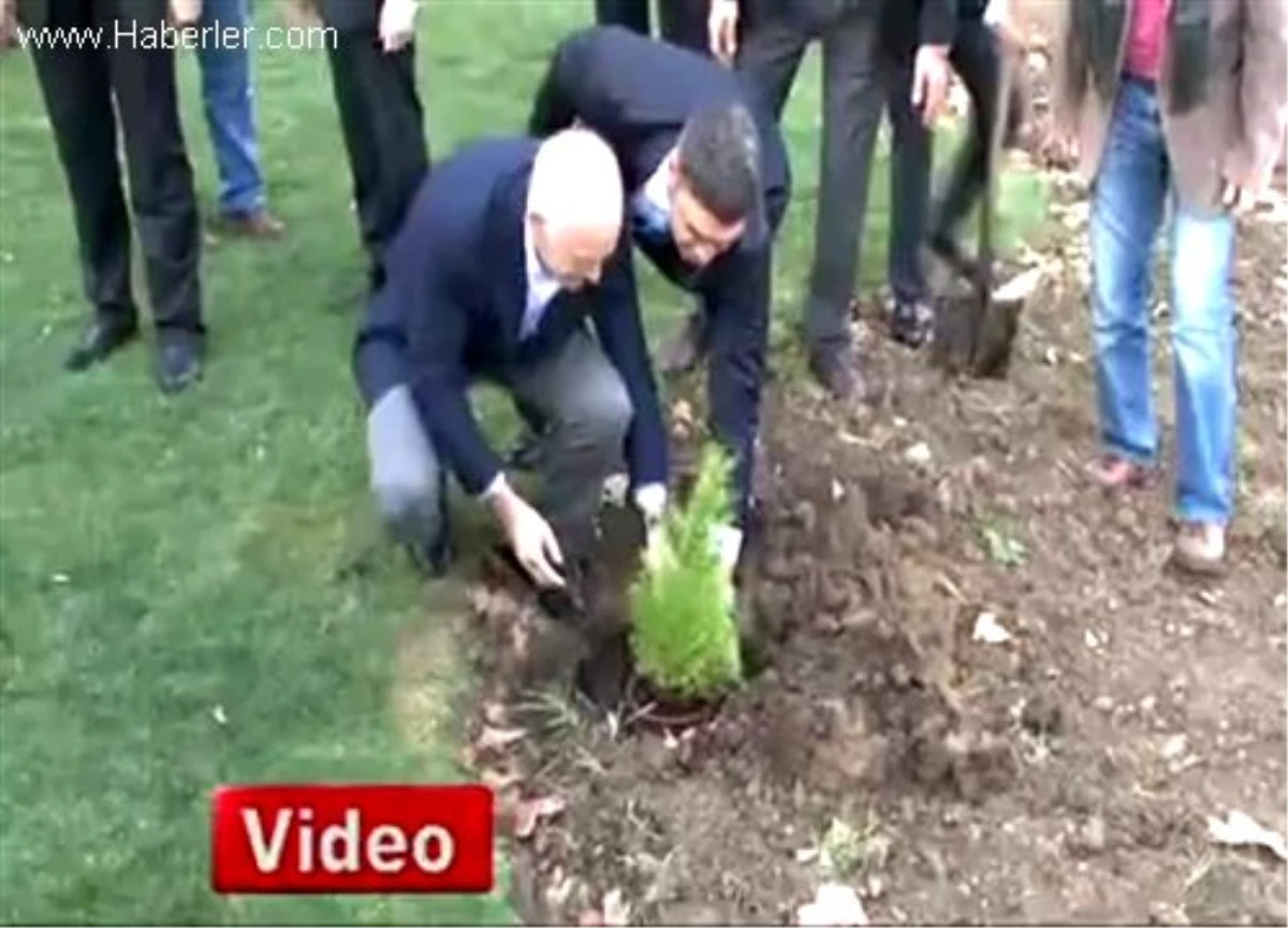 Papandreu, Gezi Parkı\'na Fidan Dikti