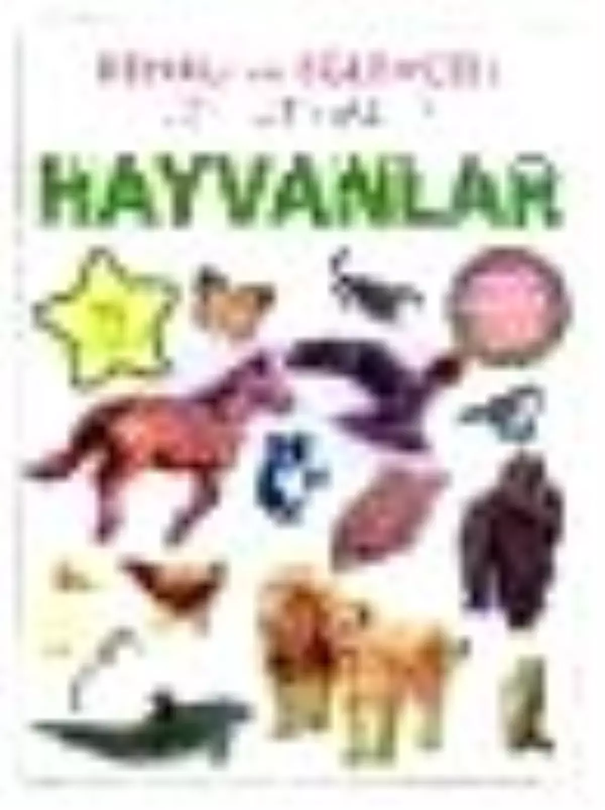 Renkli ve Eğlenceli Çıkartmalar - Hayvanlar Kitabı