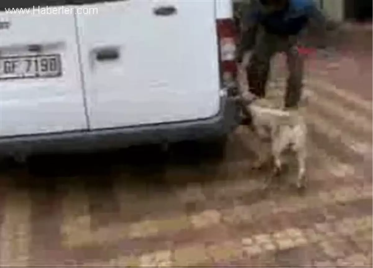 Siirt'te 81 Kilo Eroin Ele Geçirildi