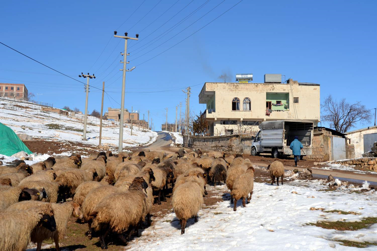 Siirt\'te Göçebeler Geri Dönmeye Başladı