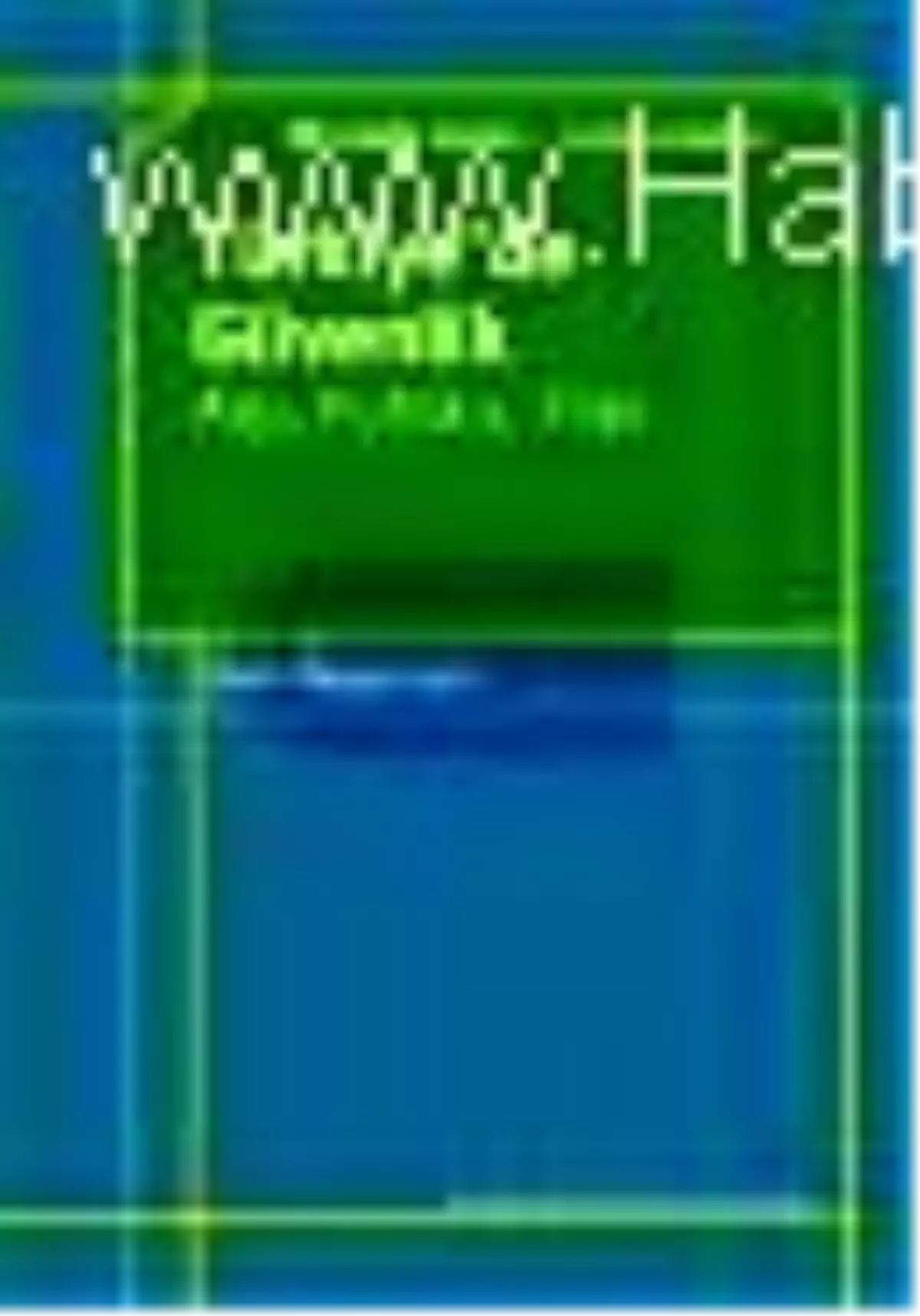 Türkiye\'de Güvenlik - Algı, Politika, Yapı Kitabı