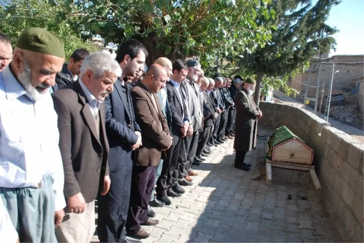 Anadolu Ajansı Muhabirinin Acı Günü