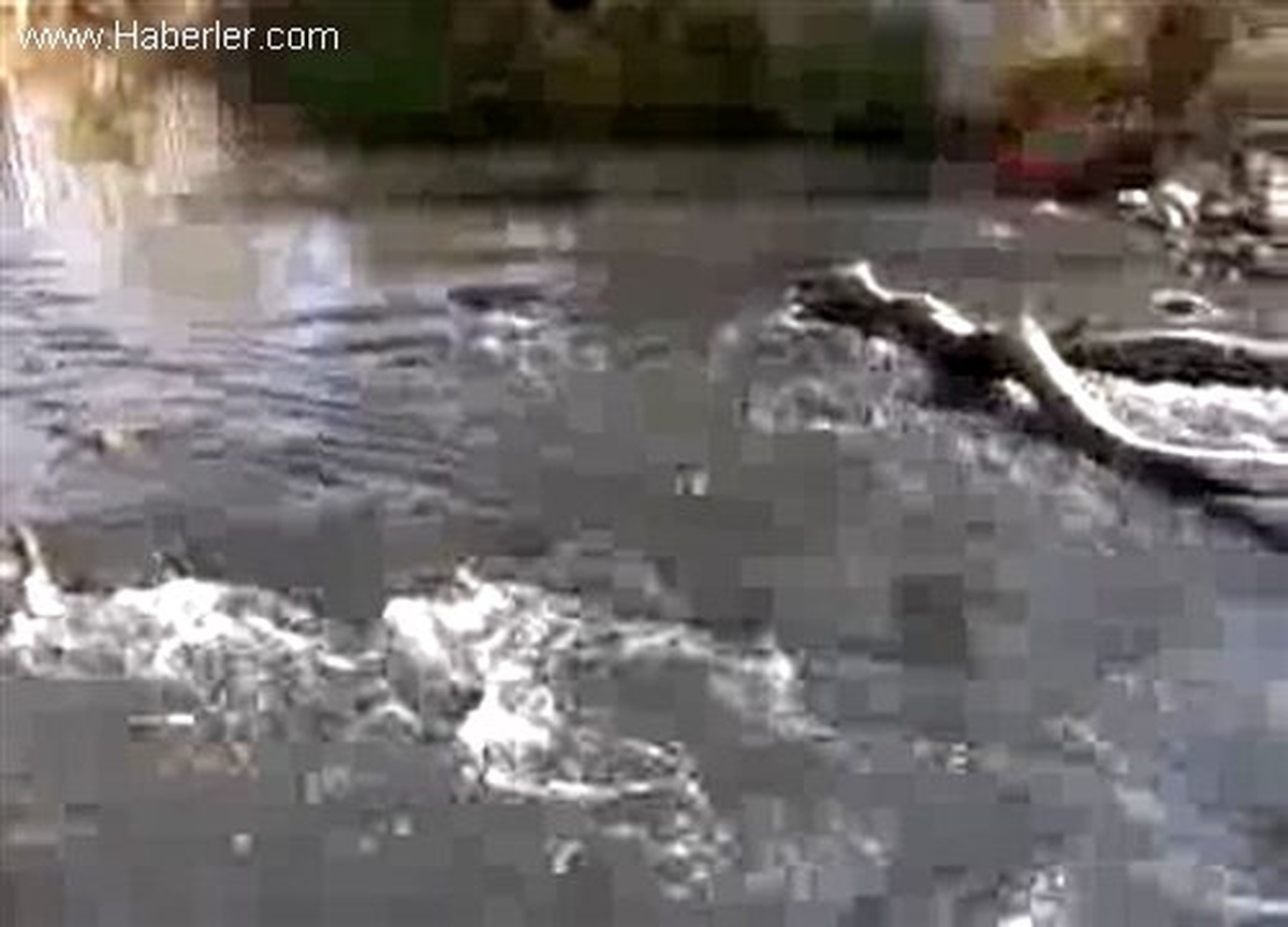 "Büyük Menderes Nehrinde Hiçbir Canlı Yaşayamaz Hale Geldi"