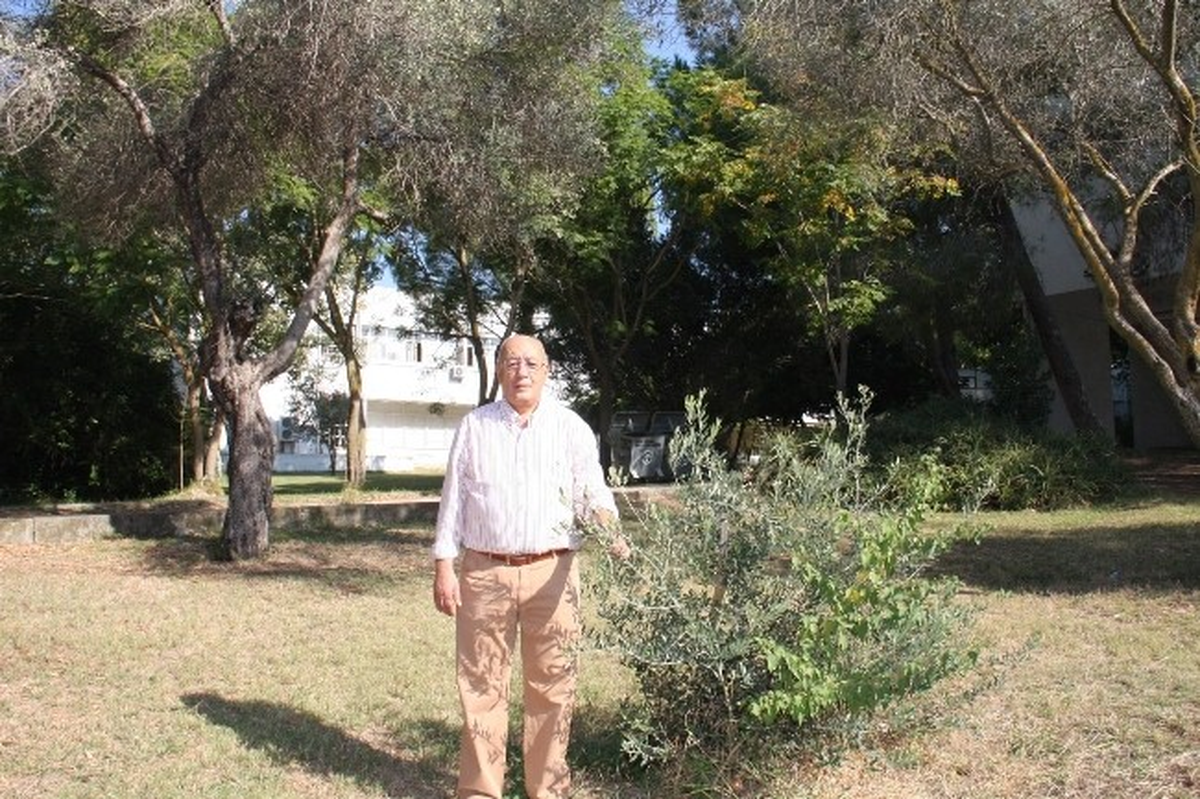 Kaçak Zeytinyağında Kimyasal Uyarısı
