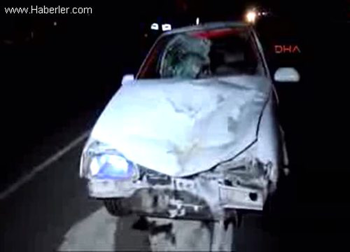 Sakarya\'da Bir Çift, Otomobilin Altında Can Verdi