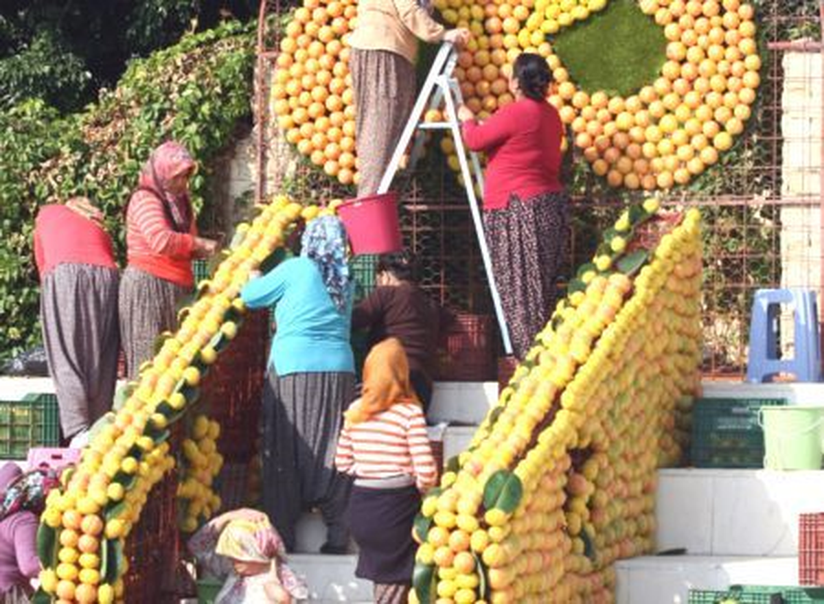 Toroslar\'da Okullara Mandalina Dağıtıldı