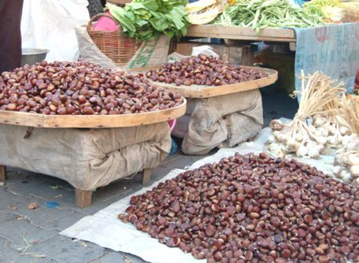 "Organik Simav Kestanesi" Piyasada Kendine Yer Arıyor