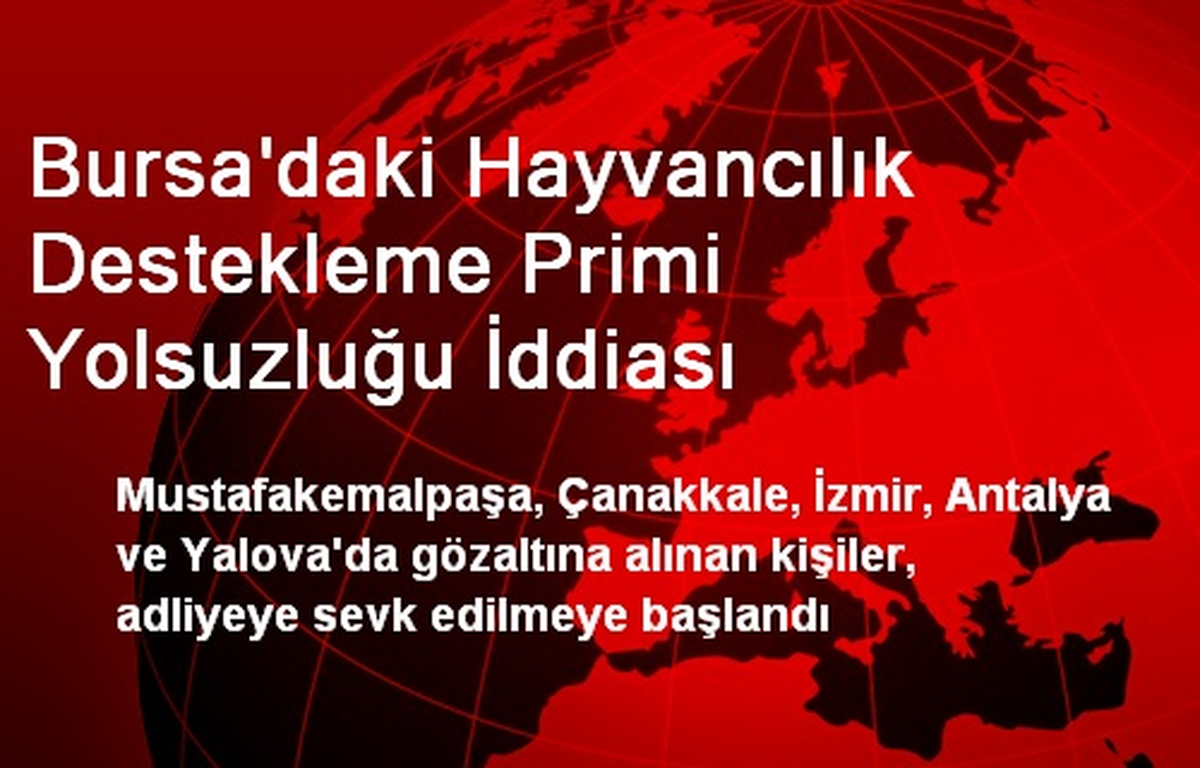 Bursa\'daki Hayvancılık Destekleme Primi Yolsuzluğu İddiası