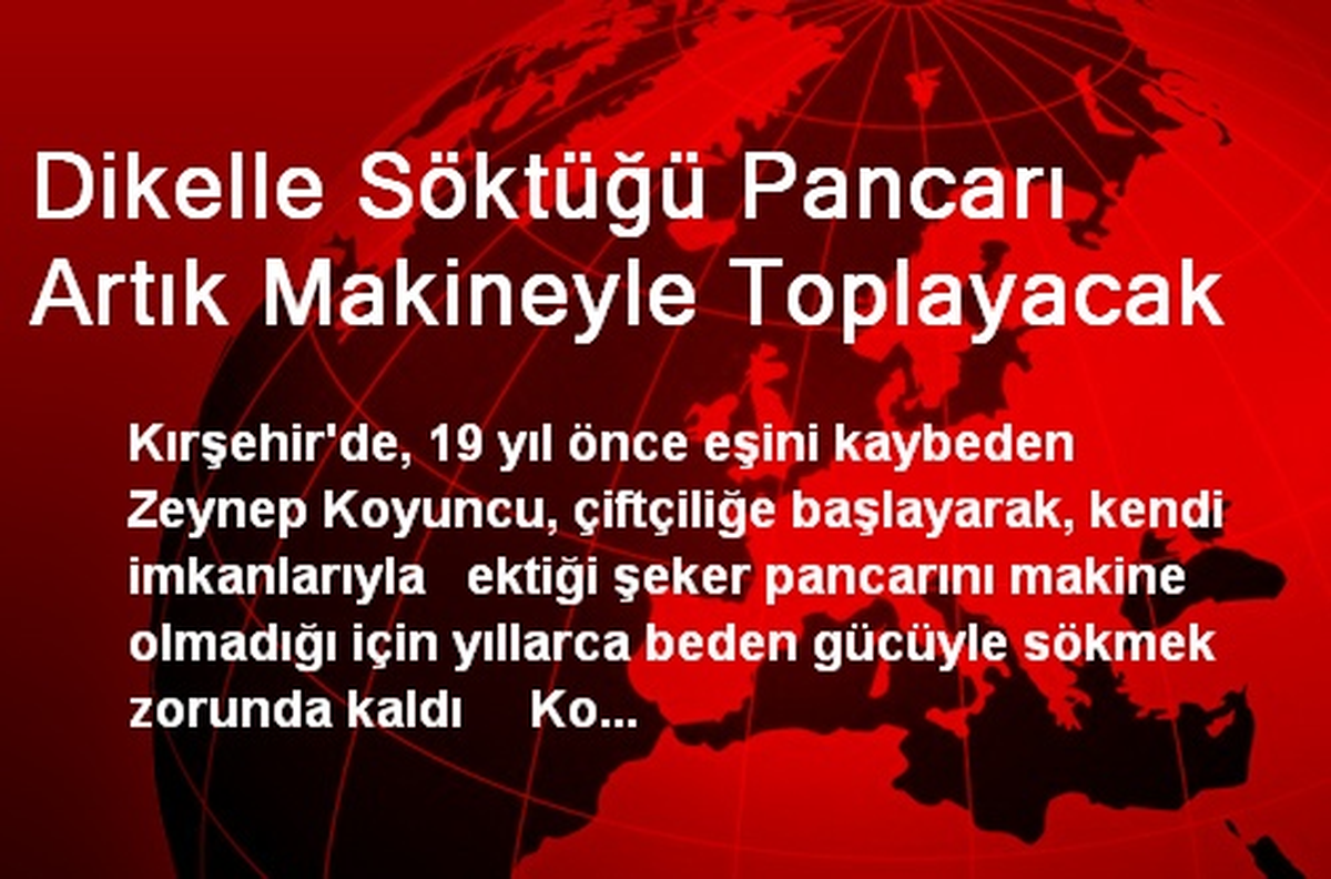 Dikelle Söktüğü Pancarı Artık Makineyle Toplayacak