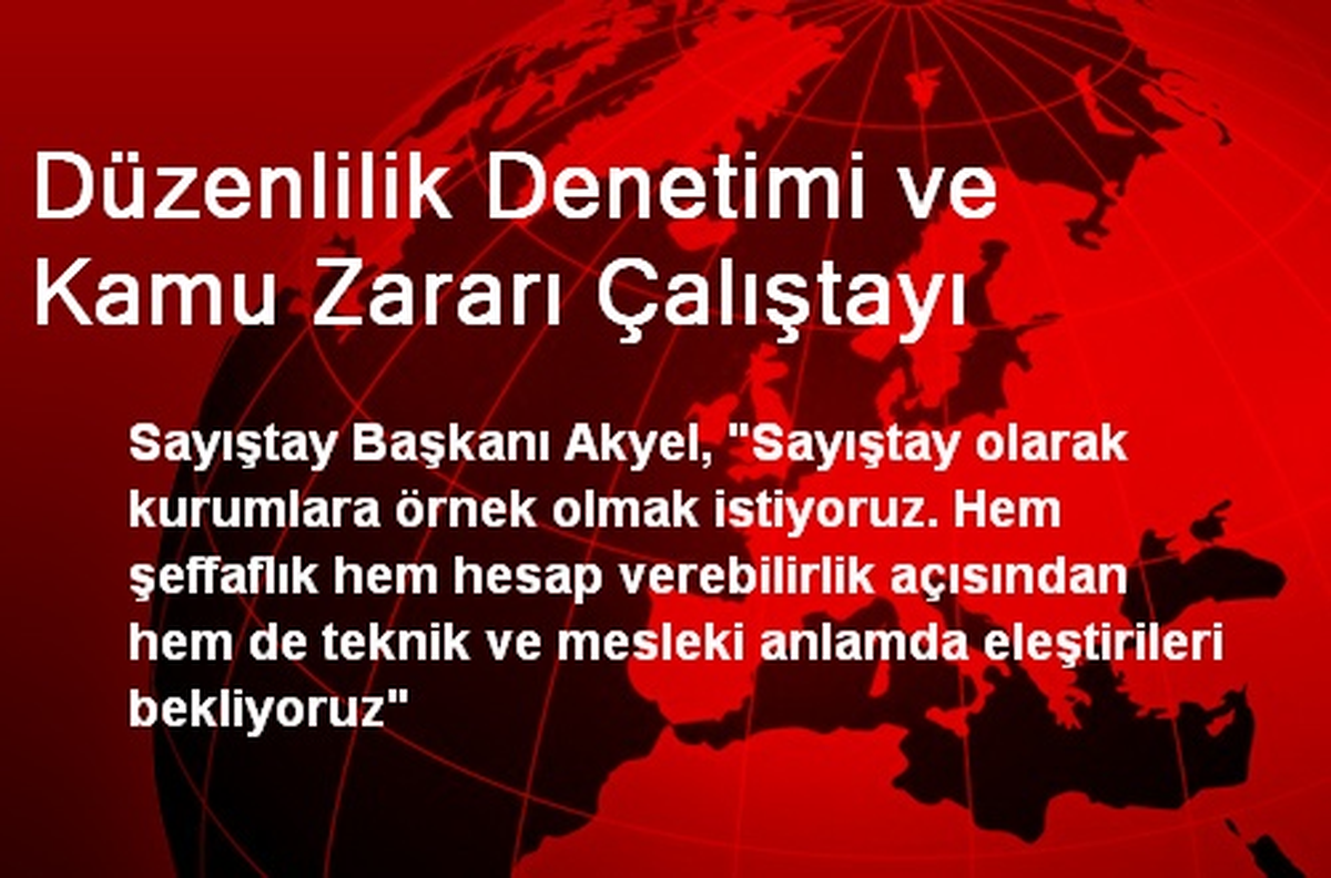 Düzenlilik Denetimi ve Kamu Zararı Çalıştayı