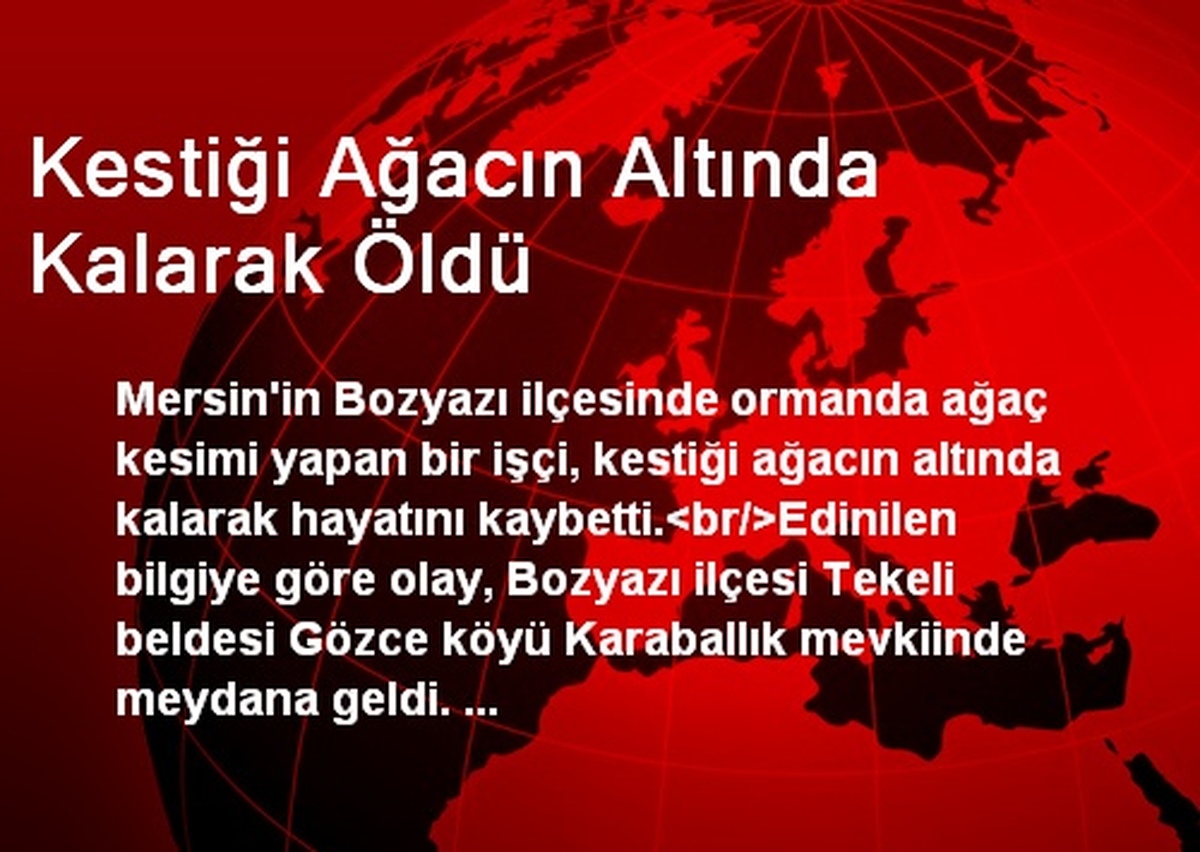 Kestiği Ağacın Altında Kalarak Öldü