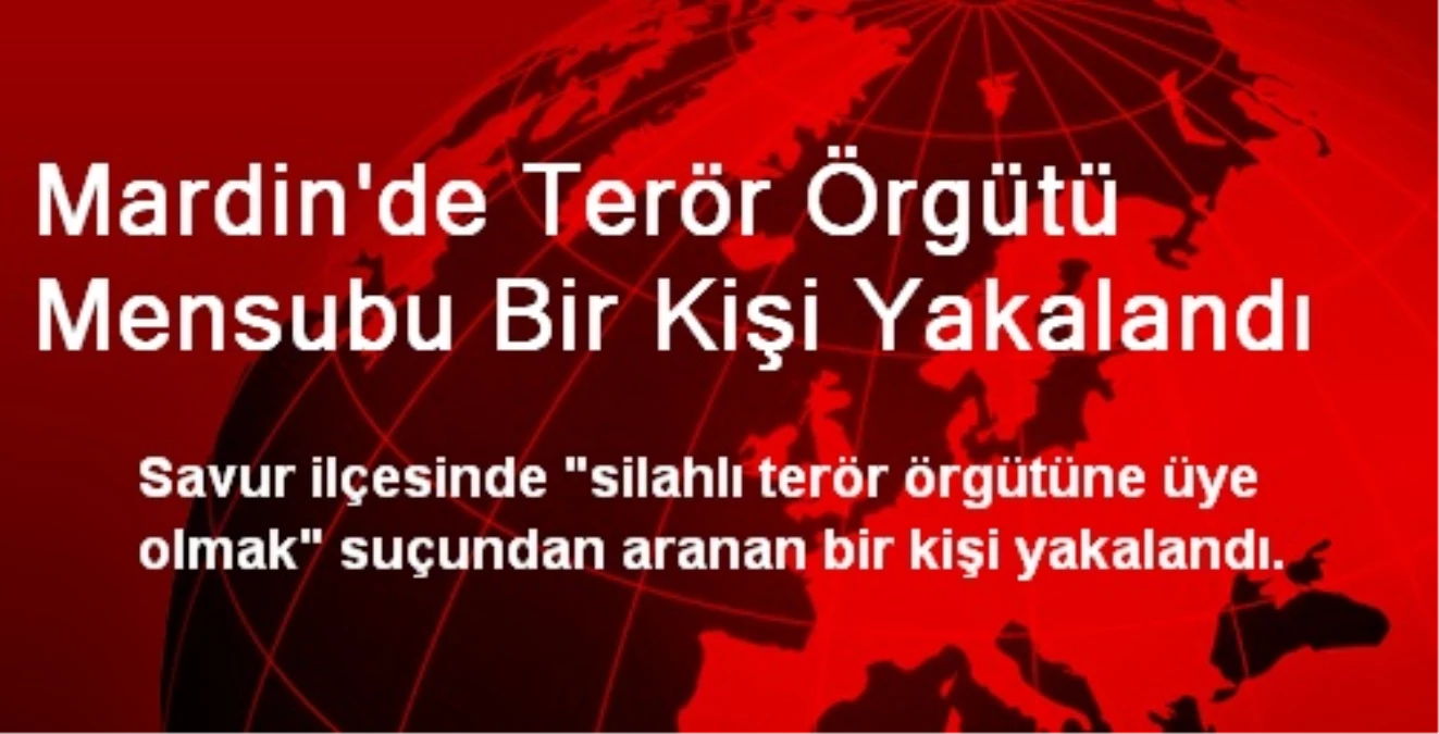 Mardin\'de Terör Örgütü Mensubu Bir Kişi Yakalandı