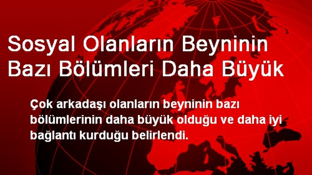 Sosyal Olanların Beyninin Bazı Bölümleri Daha Büyük
