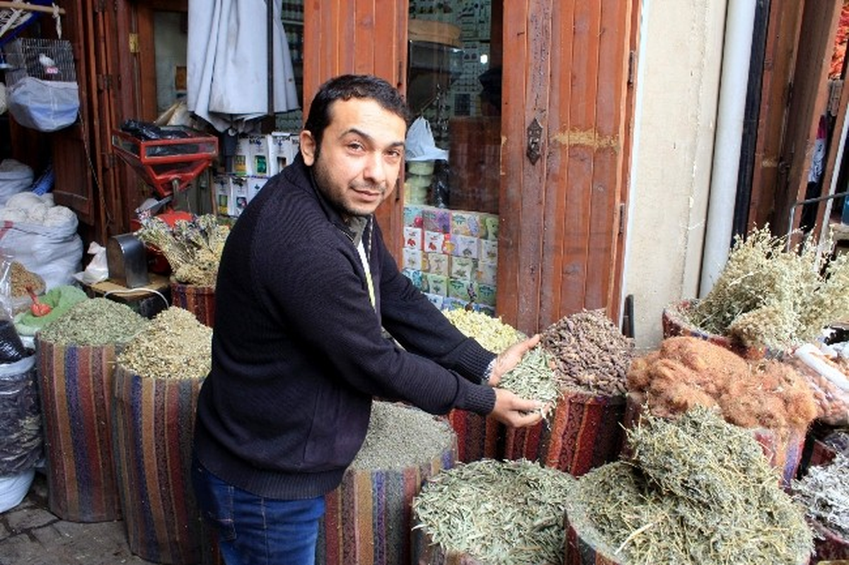 (Özel Haber) Zeytin Yaprağı Şifa Saçıyor