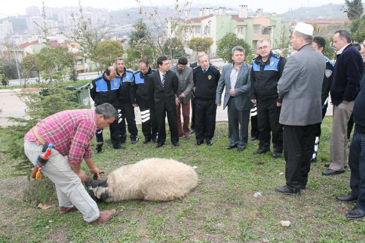 Emniyet "Bela Savuşturmak" İçin Kurban Kesti