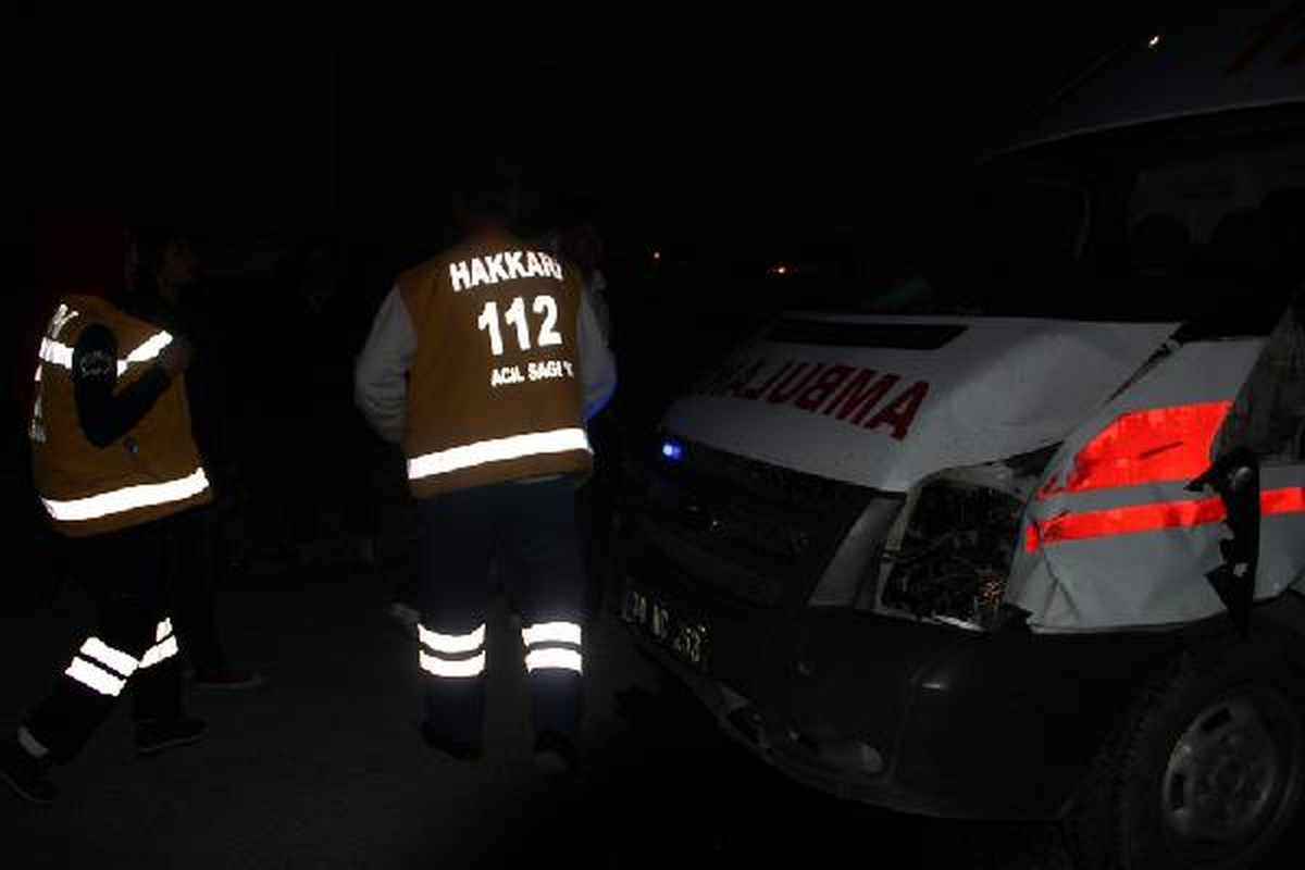 Ambulans İneğe Çarptı