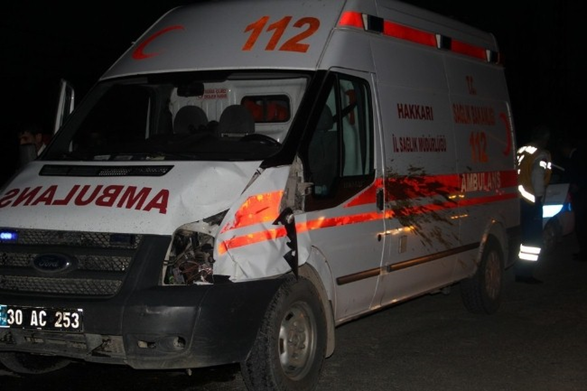 Başkale\'de Ambulans İneğe Çarptı