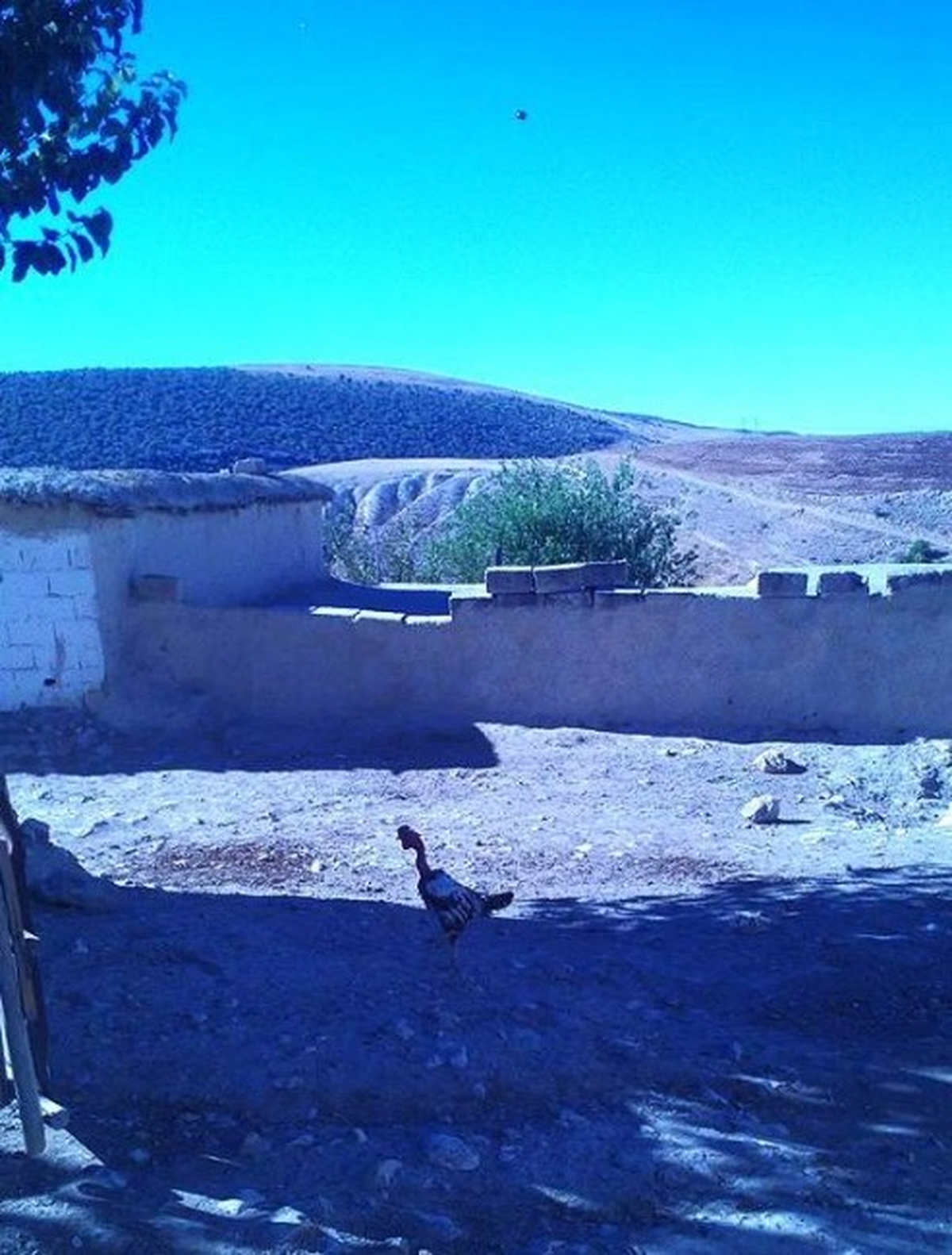Adıyaman\'da "Belirsiz Cisim" Objektiflere Takıldı