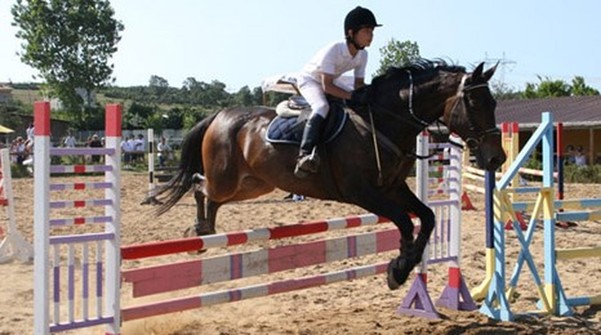Binicilikte Yerli Irk At Dönemi