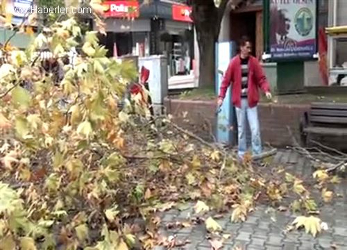 Alaplı\'da Budanan Ağaçlar Yoksul Ailelere Yakacak Oluyor