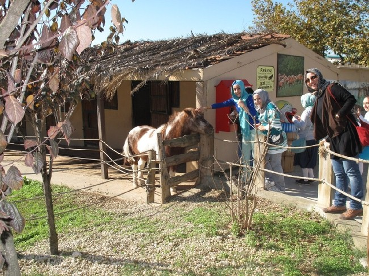 Erenler İho Öğrencileri, Darıca Hayvanat Bahçesini Gezdi