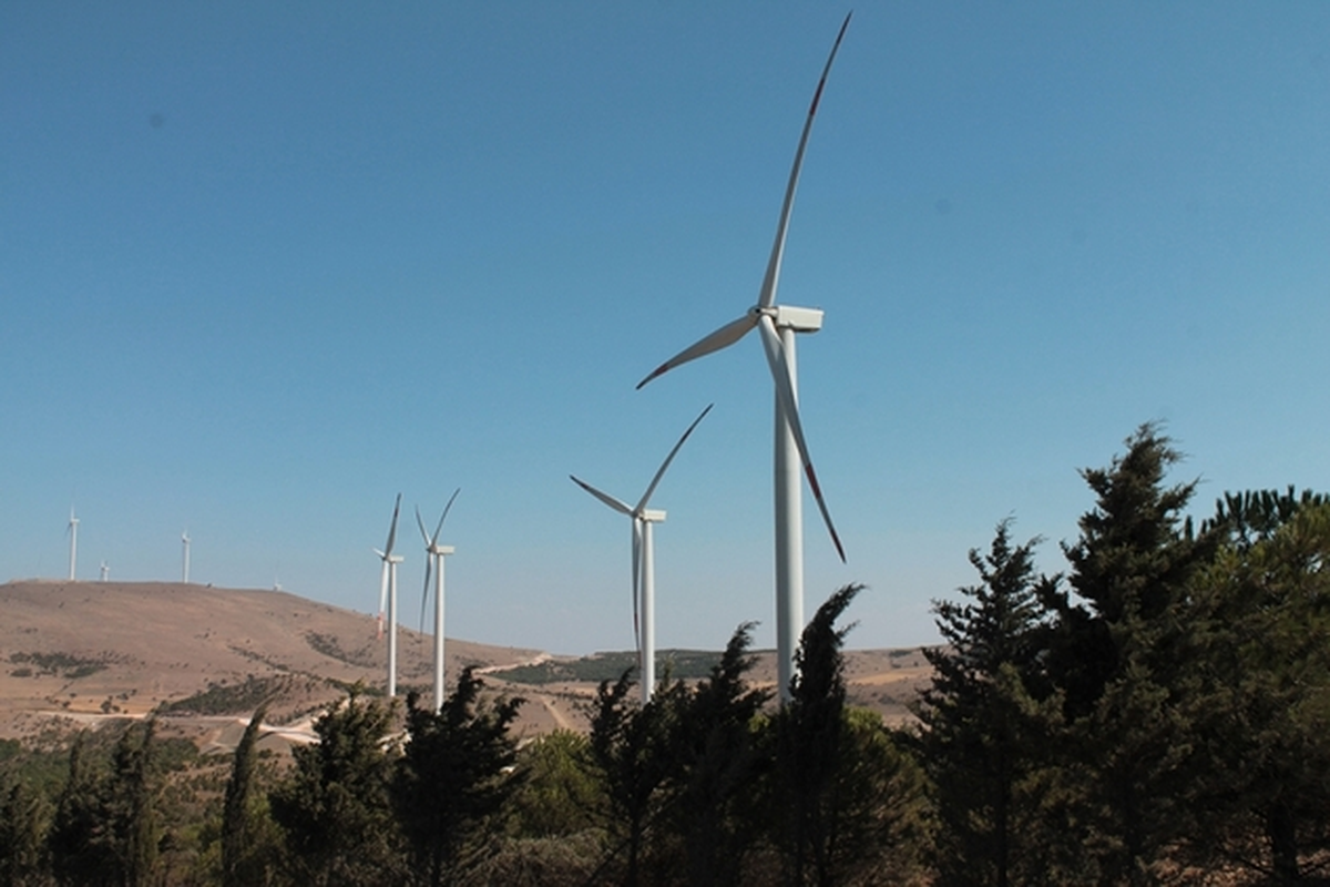 Gençlik Enerjisi Rüzgar Enerjisiyle Buluşuyor